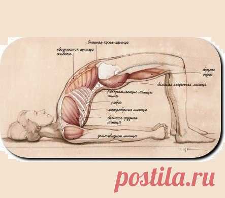 СЕТУ БАНДХА САРВАНГАСАНА
http://www.all-yoga.ru/blogs/archives/1854
Ровная красивая спина, здоровый позвоночник и хорошее настроение достанутся в награду тем, кто будет ежедневно практиковать Сету Бандха Сарвангасану (позу Построения моста).
Показать полностью…