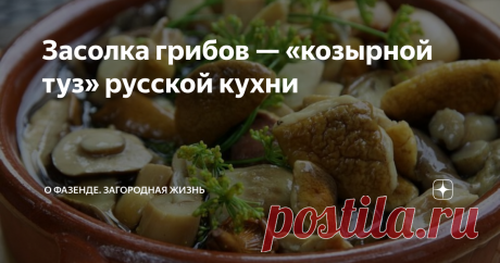 Засолка грибов — «козырной туз» русской кухни Если русская кухня и имеет свою «изюминку», то это – засолка грибов. В Европе эти рецепты почти неизвестны. Но их использование даст в результате великолепное блюдо.