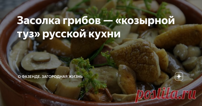 Засолка грибов — «козырной туз» русской кухни Если русская кухня и имеет свою «изюминку», то это – засолка грибов. В Европе эти рецепты почти неизвестны. Но их использование даст в результате великолепное блюдо.