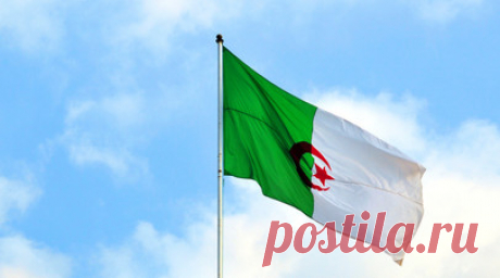 МИД Алжира вызвал представителей Дании и Швеции после новых актов сожжения Корана. Министерство иностранных дел (МИД) Алжира вызвало временного поверенного в делах Швеции и посла Дании и выразило им протест в связи со случаями сожжения Корана. Читать далее