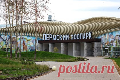 Назван лучший зоопарк России