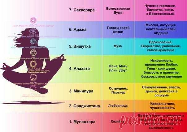 КАК МЫ САМИ БЛОКИРУЕМ СВОИ ЧАКРЫ. Аюрведический центр красоты и здоровья «Живая вода»

КАК МЫ САМИ БЛОКИРУЕМ СВОИ ЧАКРЫ.
1. Первая чакра – красный цвет; копчик – Соединение с Землей, отвечает за жизненную силу человека.
Блокировка про…