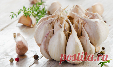 Эскулап: Исцели себя сам: Лечение чесноком