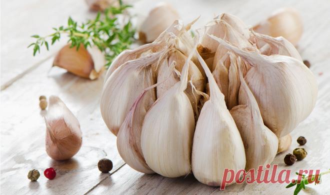 Эскулап: Исцели себя сам: Лечение чесноком