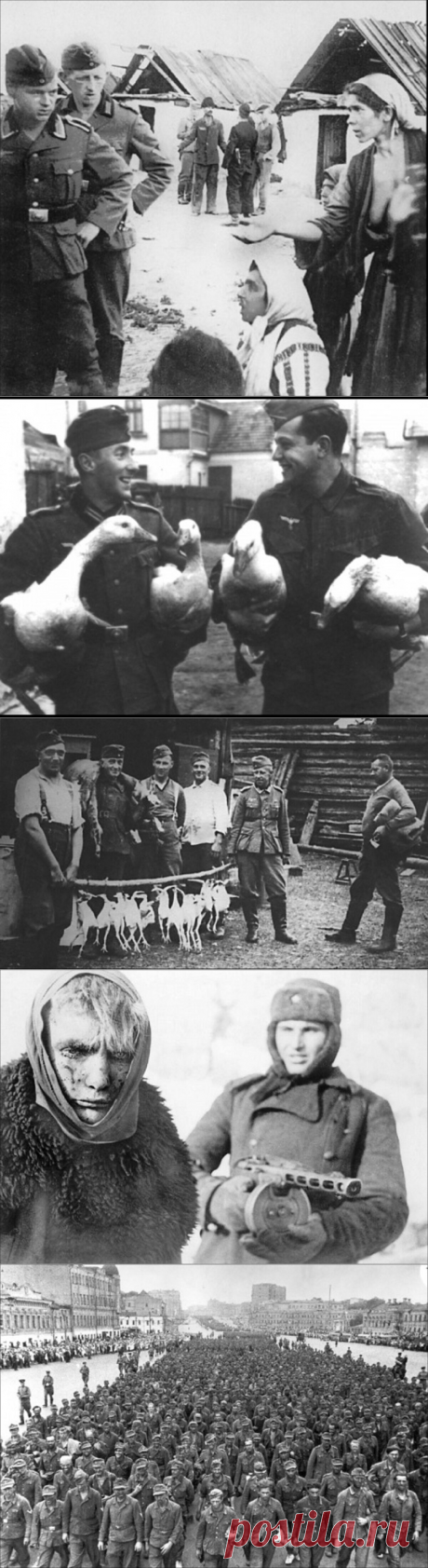 «Европеец пришел». Свидетельствуют фотографии | Подробности от знающего | Яндекс Дзен/
Здесь фоторассказ из архивных снимков, как &quot;цивилизованные&quot; европейцы в дни Второй мировой войны мародерствовали и обирали избы - пока не пришлось поднять руки и сдасться в плен. Посмотрите: очень впечатляет!