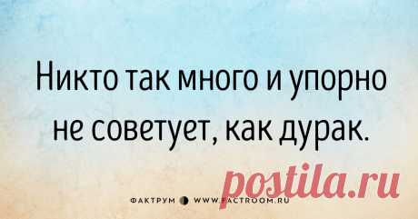 15 философских замечаний о нашей жизни от королевы сатиры Тэффи