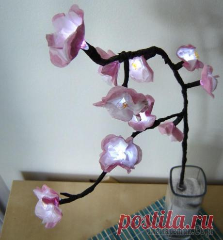 Светильник своими руками Осветительные приборы способны не только развеять тьму, но и придать необычную ауру вашему интерьеру.
Бытует множество разнообразных идей, при помощи которых можно смастерить настенный светильник или ...