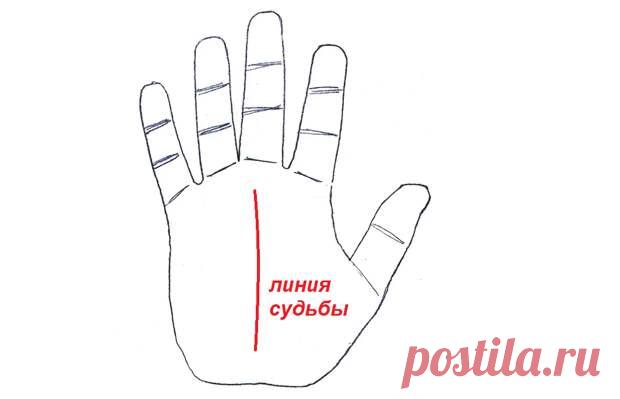 7 знаков богатства на ладони - Сонники, гороскопы, гадания - медиаплатформа МирТесен Денежная тема в хиромантии достаточно популярна. Решил собрать основные способы как можно рассмотреть финансовый потенциал у человека в одной статье.Линия судьбы (карьеры) Совсем недавно про нее писал в этой статье Судьба на наших руках. Ошибочное мнение об особенностях этой линии на ладони. По