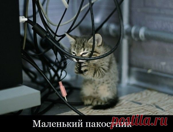 Мой Мир@Mail.Ru