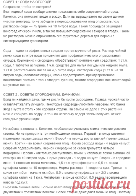 полезные советы