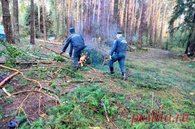 Число погибших при урагане в Марий Эл увеличилось до восьми. 10 человек находятся в больницах, причем двое — в тяжелом состоянии.