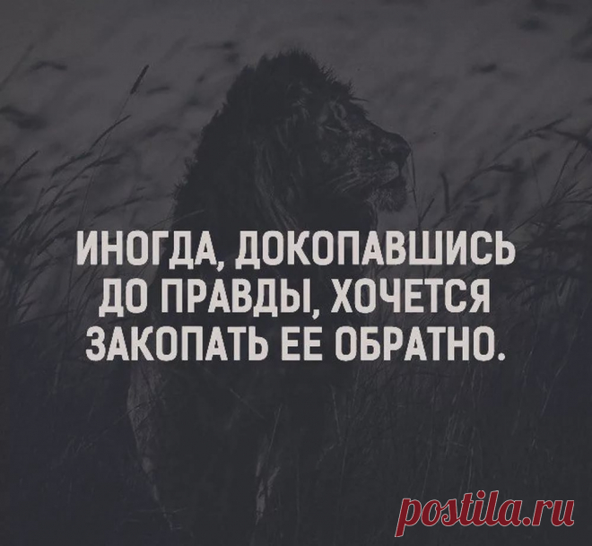 красивые картинки про жизнь со смыслом и надписями — Яндекс: нашлось 9 млн результатов