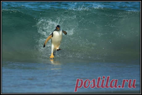 Снимки, которые не получились, как задумывались, но так даже лучше | KEDON | Яндекс Дзен