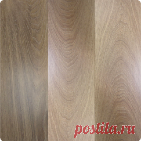 Cheston / Каталог