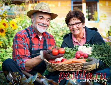 Чего и сколько нам сажать, чтоб закромам не пустовать: Группа Практикум садовода и огородника
