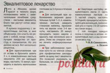 Эвкалиптовое лекарство