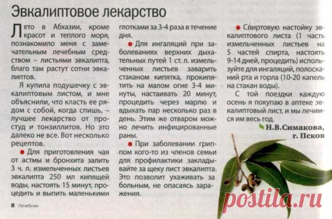 Эвкалиптовое лекарство