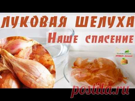 Луковая шелуха – СПАСЕНИЕ нашей семьи. Чем полезна? Что лечит? Как приготовить отвар