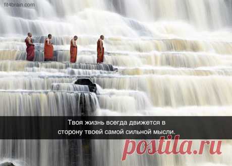 Открытки, в которых можно узнать себя – Фитнес для мозга