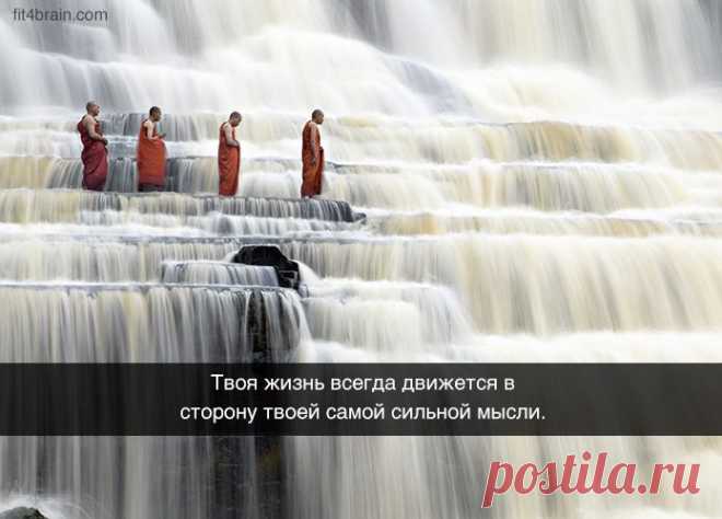 Открытки, в которых можно узнать себя – Фитнес для мозга