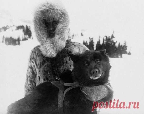 Балто - собака-легенда! - Путешествуем вместе