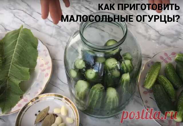 Малосольные огурцы в банке в холодной воде. Подборка простых способов
1️⃣ Холодным способом с чесноком и зеленью
	⁃	холодная кипяченая вода – 1 л;
	⁃	огурцы – 1 кг;
	⁃	сахар - 1 ст. л;
	⁃	соль – 2 ст. л;
	⁃	листок хрена;
	⁃	чесночные зубчики – 4 шт.;
	⁃	укроп – 3 пучка.
В воде растворить соль и сахар
🧄Очистить чеснок, порезать на кусочки. На дно выложить промытый укроп, чеснок и порезанный лист хрена
🥒Переложить промытые огурцы с обрезанными кончиками, залить водой
Через...