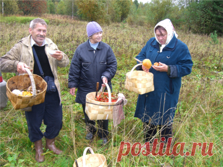 Как убрать ненужный объект на фотографии. Фоторедактор Pixlr