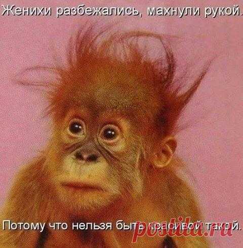 Лилия Советкина | ВКонтакте