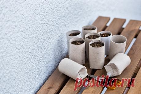 12 способов, как сделать горшочки для рассады своими руками | На грядке (Огород.ru)