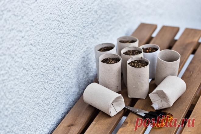 12 способов, как сделать горшочки для рассады своими руками | На грядке (Огород.ru)