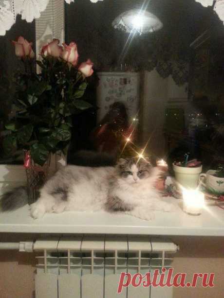 Новые фотографии