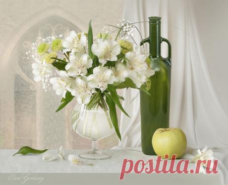 Созерцатель: Elen Gardzey фото- натюрморты.