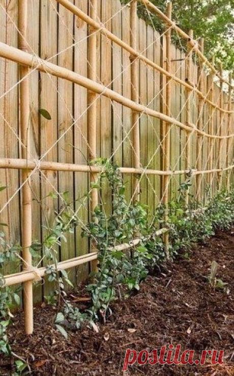 Дачные идеи. Как Вам?