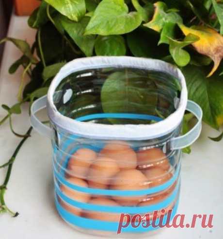 Что можно сделать из пятилитровых пластиковых бутылок - подборка фото
