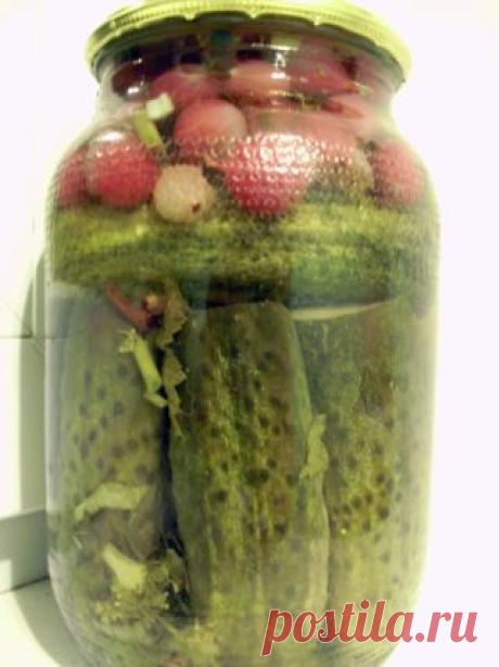 Маринованные огурчики с крыжовником.