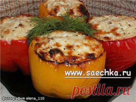 Перец, фаршированный курицей и рисом | рецепты на Saechka.Ru
