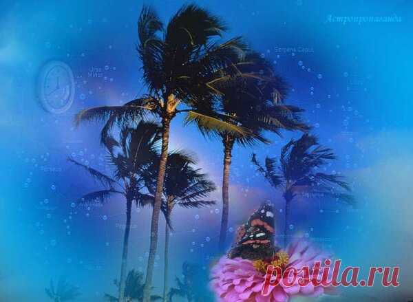 18 июля 2019. Магия лунных и солнечных суток | Астропропаганда | Яндекс Дзен
✍ Автор: астролог Нина Стрелкова. 🌞🌙 Магия. 18 июля 2019. День победы над временем, он связан с возвышением, очищением, сохранением равновесия. Планеты в это время способствуют развитию экстрасенсорного восприятия и дара предвидения, в течение этих суток возможны вещие сны и предчувствия, которым стоит доверять...