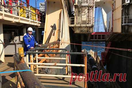 В Германии приготовились к отключению электричества без «Северного потока-2». В Германии приготовились к перебоям электричества при недостаточном объеме поставок газа из России из-за остановки газопровода «Северный поток-2», заявил обозреватель Юрген Флаугер. По словам автора публикации, ФРГ необходим импорт газа в большом количестве, в том числе из РФ.