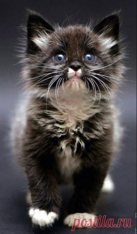 (789) Pinterest