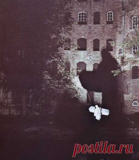 Носферату: Призрак ночи (1979)