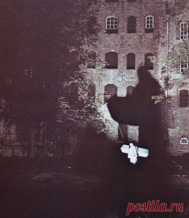 Носферату: Призрак ночи (1979)