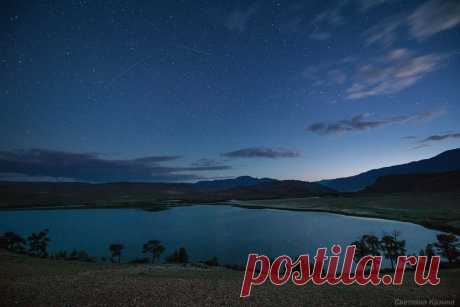 Светлана Казина