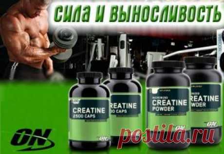 Креатин в спортивном питании – для чего нужен, как принимать
