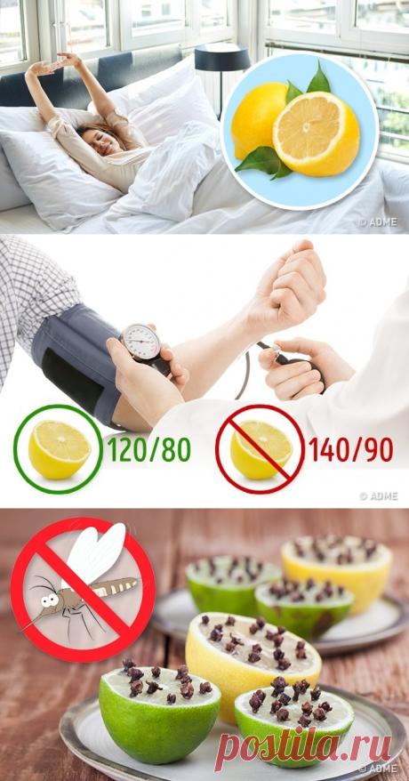 Что произойдет, если положить кусочек лимона рядом с кроватью