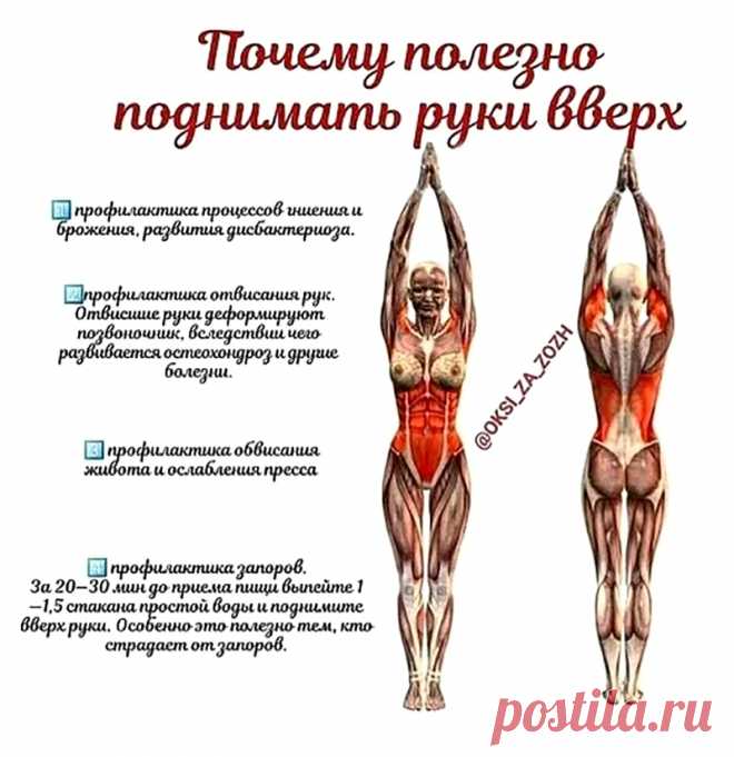 Почему полезно поднимать руки вверх