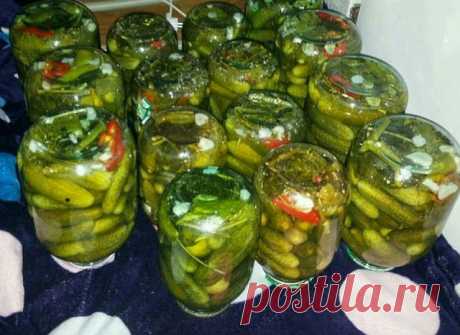 Готовим дома: Загатовки на зиму