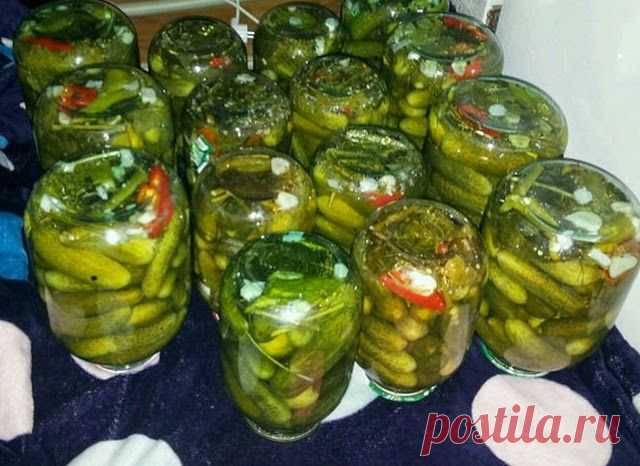 Готовим дома: Загатовки на зиму