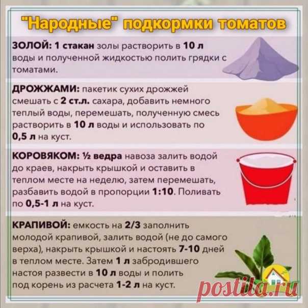 Народные подкормки томатов, которые точно пригодятся.