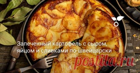 Запеченный картофель с сыром, яйцом и сливками по-швейцарски Запеченный картофель с сыром, яйцом и сливками по-швейцарски — невероятно вкусный картофельный гратен. Такую запеканку можно подать к рыбе, мясу или курице, это лучший гарнир, который можно придумать, готовится довольно быстро, не требует кулинарного опыта — всё очень просто и легко!