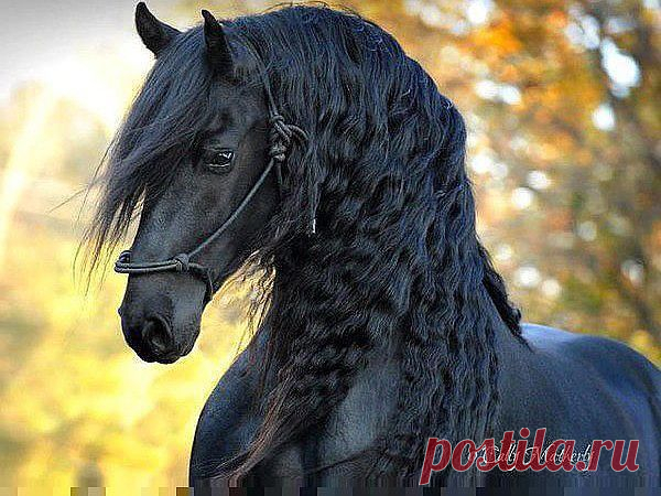 Лучшие статусы, цитаты и афоризмы
Сардор 2313